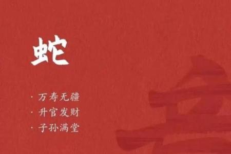 三月蛇生：探秘为何成为劳累命的秘密