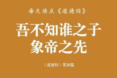 解码女命秀气：如何理解其中的深层含义与象征