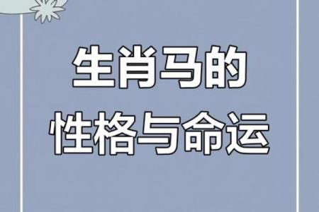 属马二月出生的人命运揭秘：他们的性格与运势分析