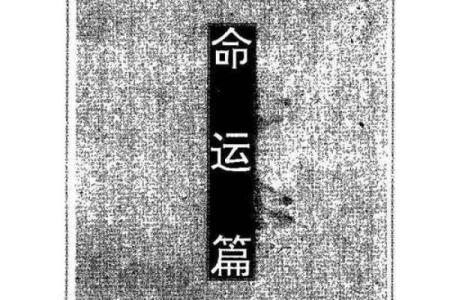 揭秘！晚上的老虎为何象征着力量与神秘的命运之谜