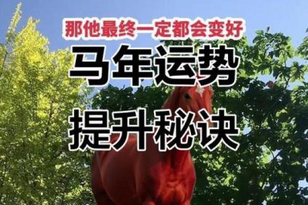 成年马的命格解析：从生肖看马年人的性格与运势