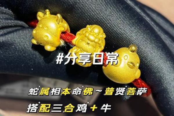 生肖猴三合贵人：揭示你的命运之路与人生智慧