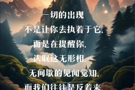 揭开命运的面纱：我妈的命格与人生智慧