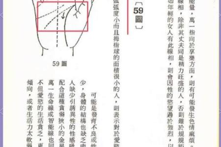 揭秘手相大三角：你的命运密码与人生起伏