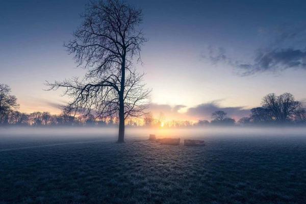 十七日出生的马是什么命:揭示其性格与命运的奥秘 十七日出生的马是什么命:揭示其性格与命运的奥秘