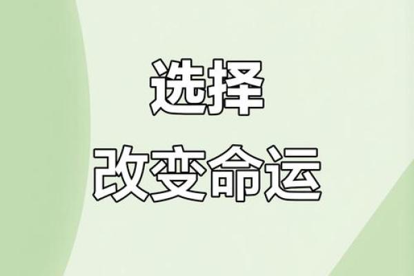 命运与选择：探索“根据什么命耗什么命”的深刻寓意