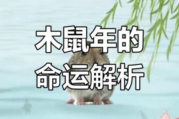 属鼠人在早上九点多出生的命运解析