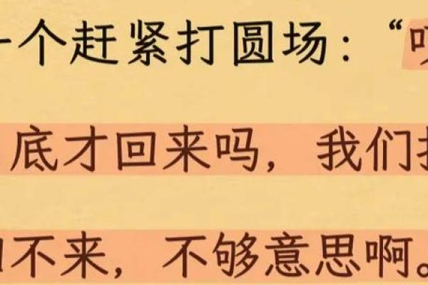 属狗与属猪的命理解析：命运交织的深刻理解