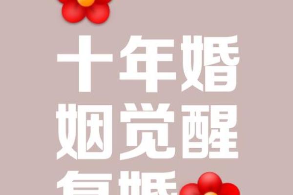 十四年婚姻：携手共度人生，循梦前行的命运之旅