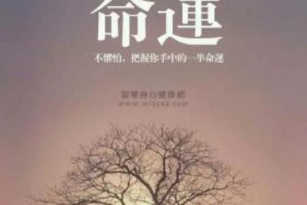 解析船命：命理中的航行者与命运的交织