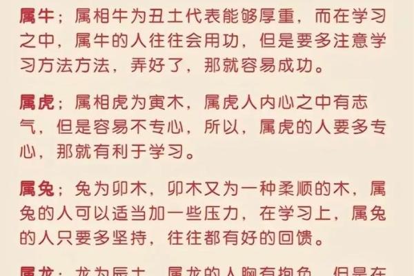 2023年农历今天生肖解析：今天你的运势与命理如何？