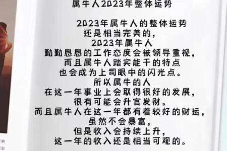 属牛人2023年25岁，命运与生活的深度解析