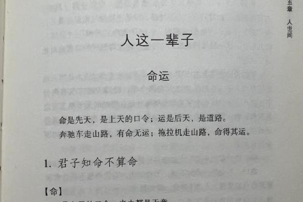 拿命还是什么意思?探讨生活中的珍贵与无奈 拿命还是什么意思?探讨生活中的珍贵与无奈