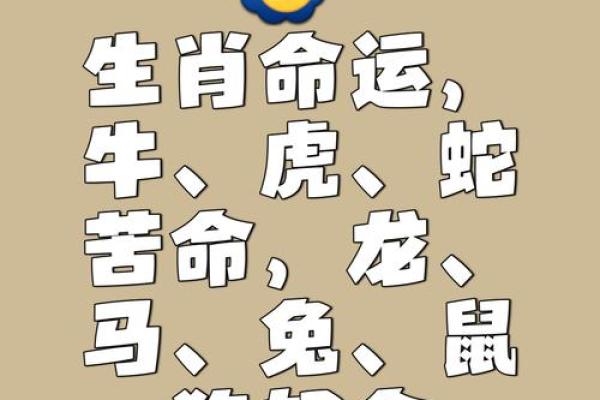 属牛的水命何时交运 揭秘命理的奥秘与人生的转折点