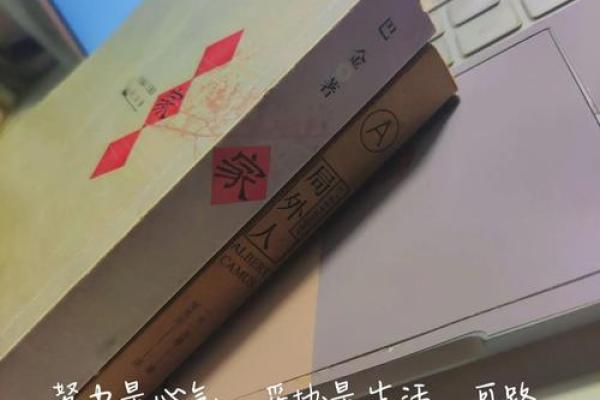 人生的命运：一场无法逆转的旅程与选择的交响曲