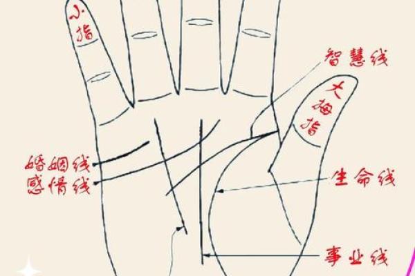 手心的三角纹：解码你内心深处的命运密码