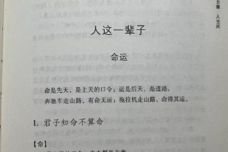 拿命还是什么意思？探讨生活中的珍贵与无奈