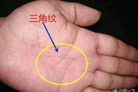 手心的三角纹：解码你内心深处的命运密码