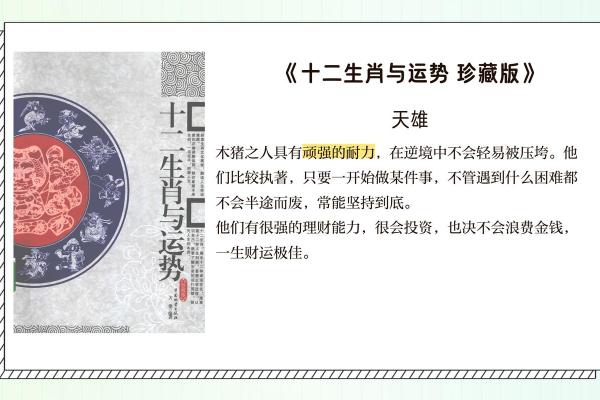 十一月生的属猪之人:运势、性格及命理解析 十一月生的属猪之人:运势、性格及命理解析