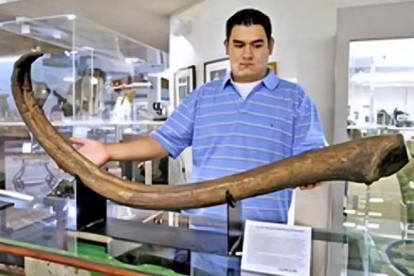 你是有两条命吗？揭秘那些让人意想不到的生存故事