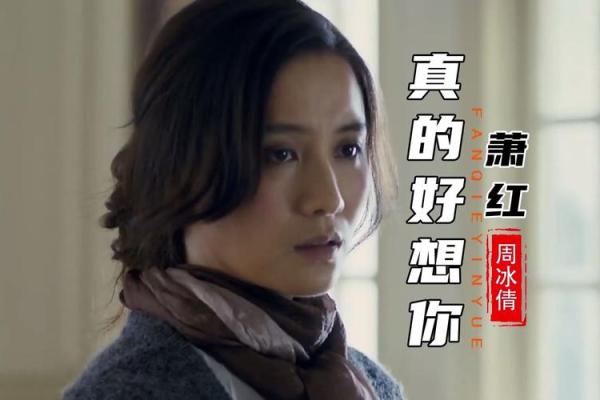 拼了命给你发信息：爱与思念的旋律之旅