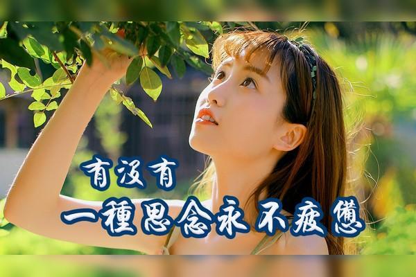 拼了命给你发信息：爱与思念的旋律之旅