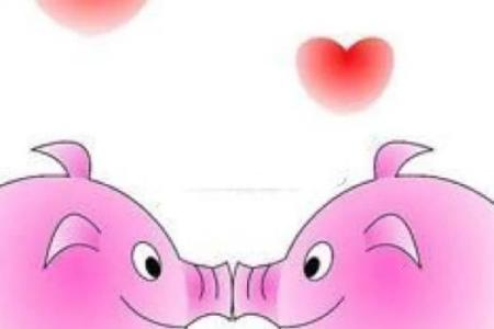 石榴木命与理想伴侣：寻找最佳配命指南