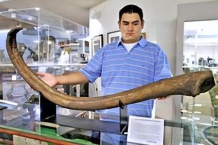 你是有两条命吗？揭秘那些让人意想不到的生存故事