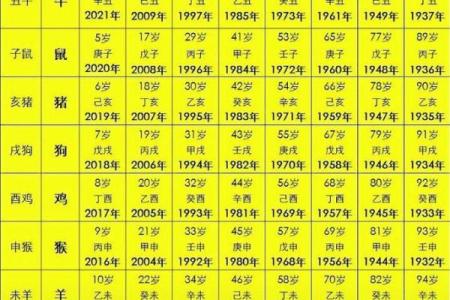 属虎1974年生人命运与性格解析