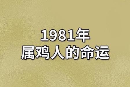 2017年属鸡的命运解析：如何把握人生之路