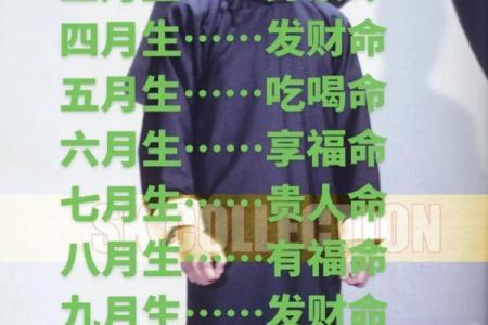 揭开高贵命与富贵命的神秘面纱：你的命运由什么决定？