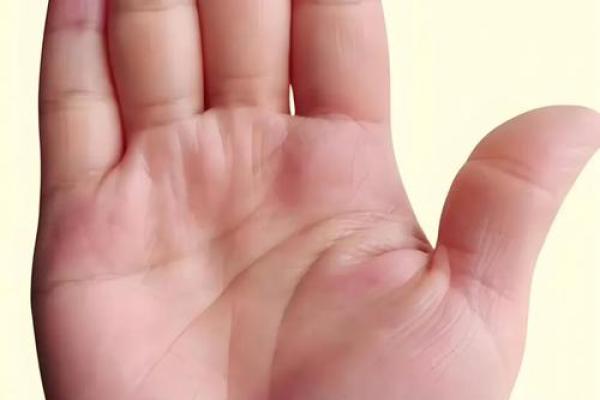 男小手指短是什么命？解密手相中的身心密码