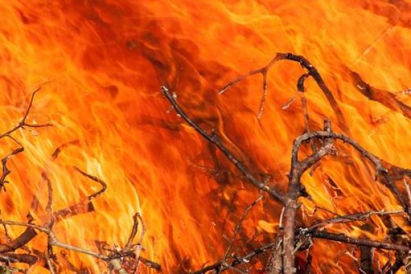 山头火命与最佳合命，助你人生更加辉煌！