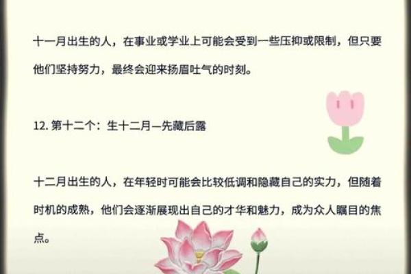 根据出生时间探寻阳命人生的奥秘与信仰