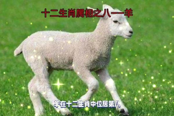 七九年十二月的羊：命运与性格的神秘探寻