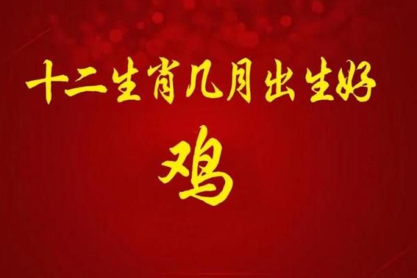 生肖鸡的遗憾与人生智慧:如何应对命运的考验与变化 生肖鸡的遗憾与人生智慧:如何应对命运的考验与变化