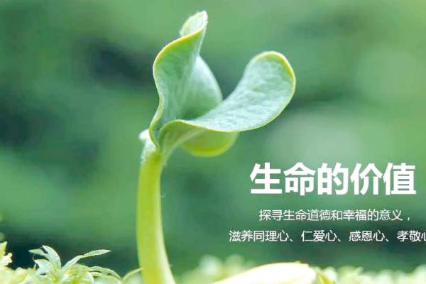 今日五行查询：探寻您的命理之道，一起解密生命的奥秘！