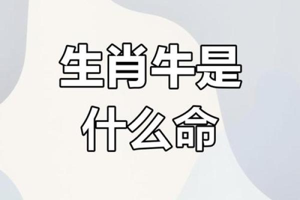1948年出生的牛命运与性格解析：踏实稳重，勇往直前！