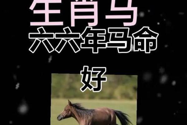 属马猪拱槽的命运解析：从命理看人生的转折与机遇