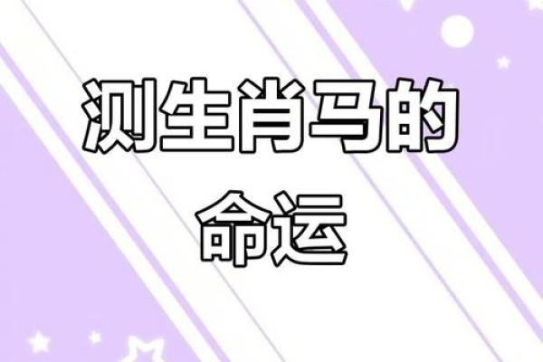 属马猪拱槽的命运解析：从命理看人生的转折与机遇
