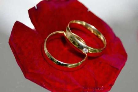 男属狗的命理解析：情感、事业与人生运势的深度剖析