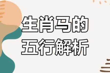 解析属马人的五行命理：火的热情与动力