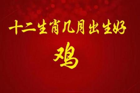 生肖鸡的遗憾与人生智慧：如何应对命运的考验与变化