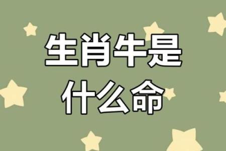 1948年出生的牛命运与性格解析：踏实稳重，勇往直前！