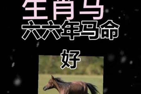 属马猪拱槽的命运解析：从命理看人生的转折与机遇