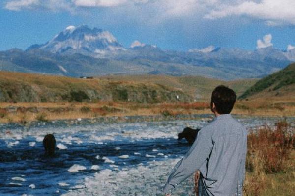 解密男命夫妻星乙木的深意与象征，探寻内心的真实渴望