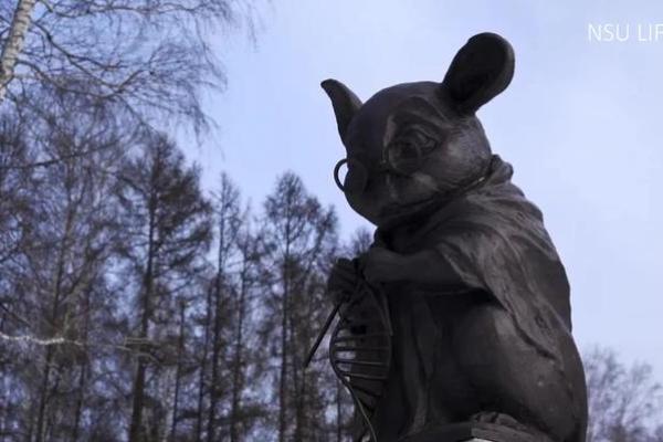 揭示鼠命流年：1972年的命运之旅与启示