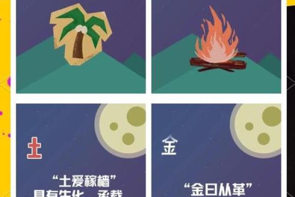 深入探索金水命与木火命的奥秘，揭示命理背后的深刻含义
