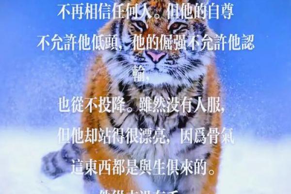 属虎之命:1986年出生的你究竟为何而生? 属虎之命:1986年出生的你究竟为何而生?