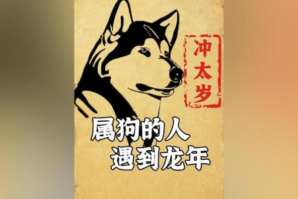 属狗之人的智慧与命运：探索65岁时的人生意义